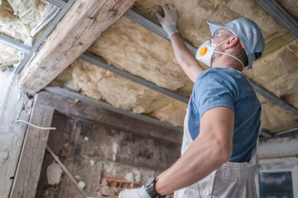 Best Types of Insulation in Notasulga, AL